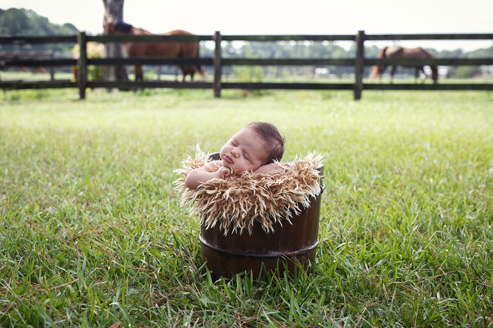 best newborn photographer in Raleigh