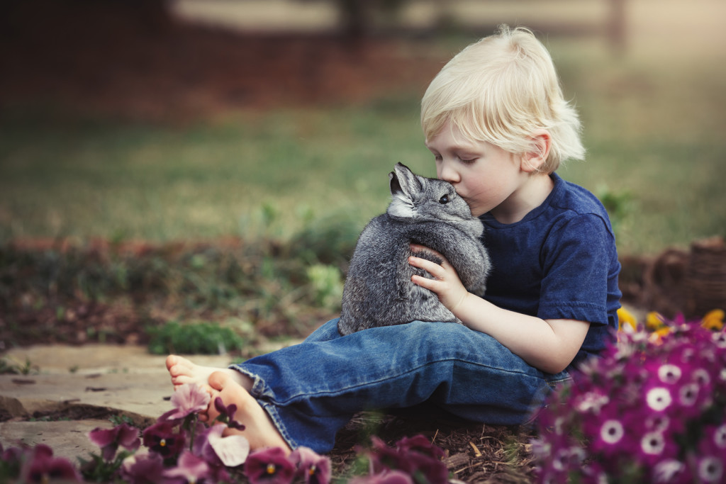 image of young cute boy kissing a rabbit Raleigh Children's Photographer