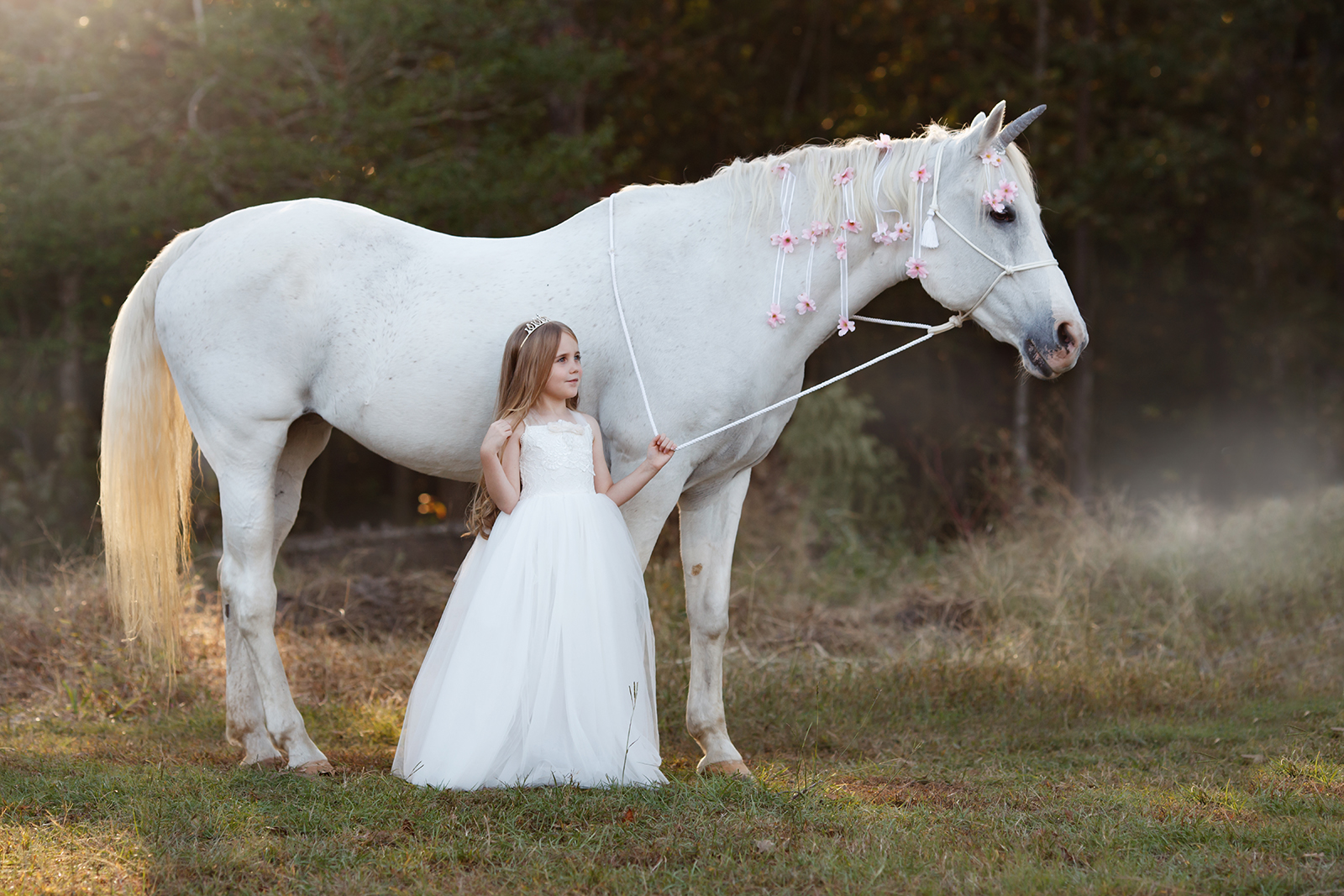 princess portraits in Raleigh NC