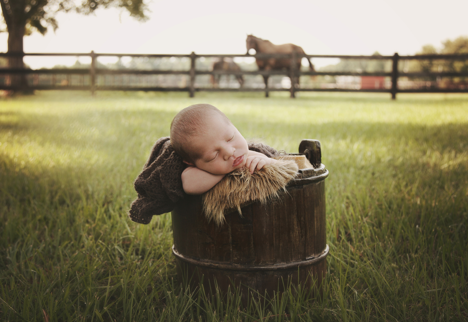 Raleigh outdoor newborn photography