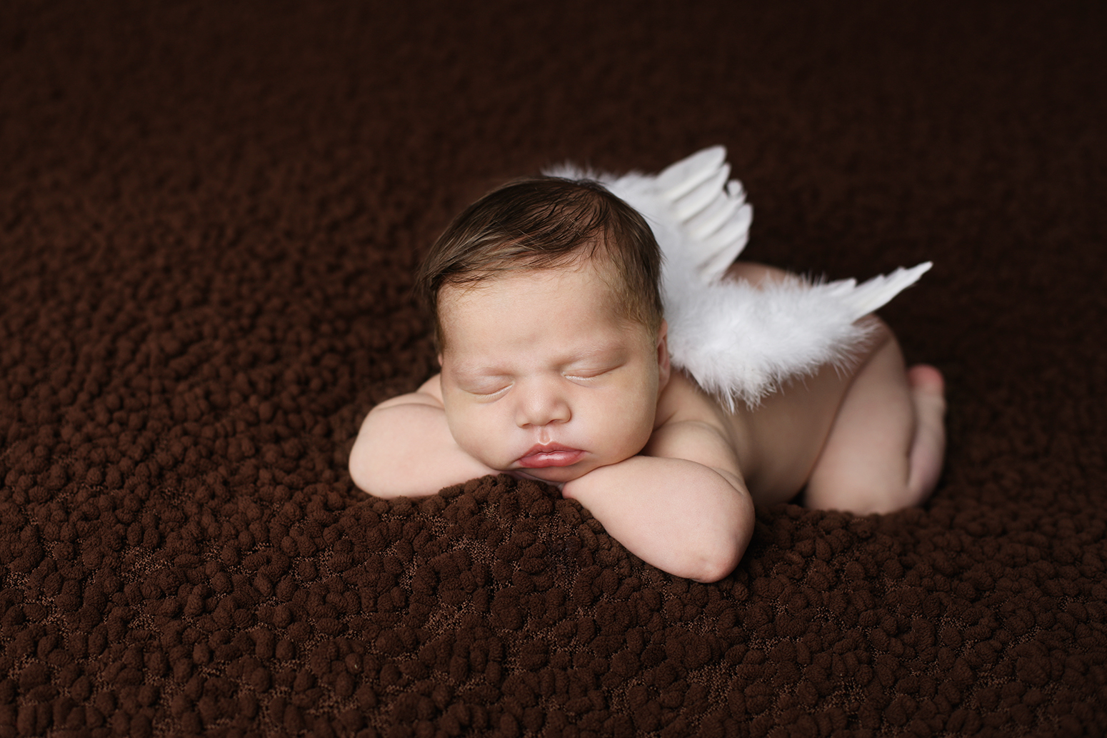 Raleigh newborn photography