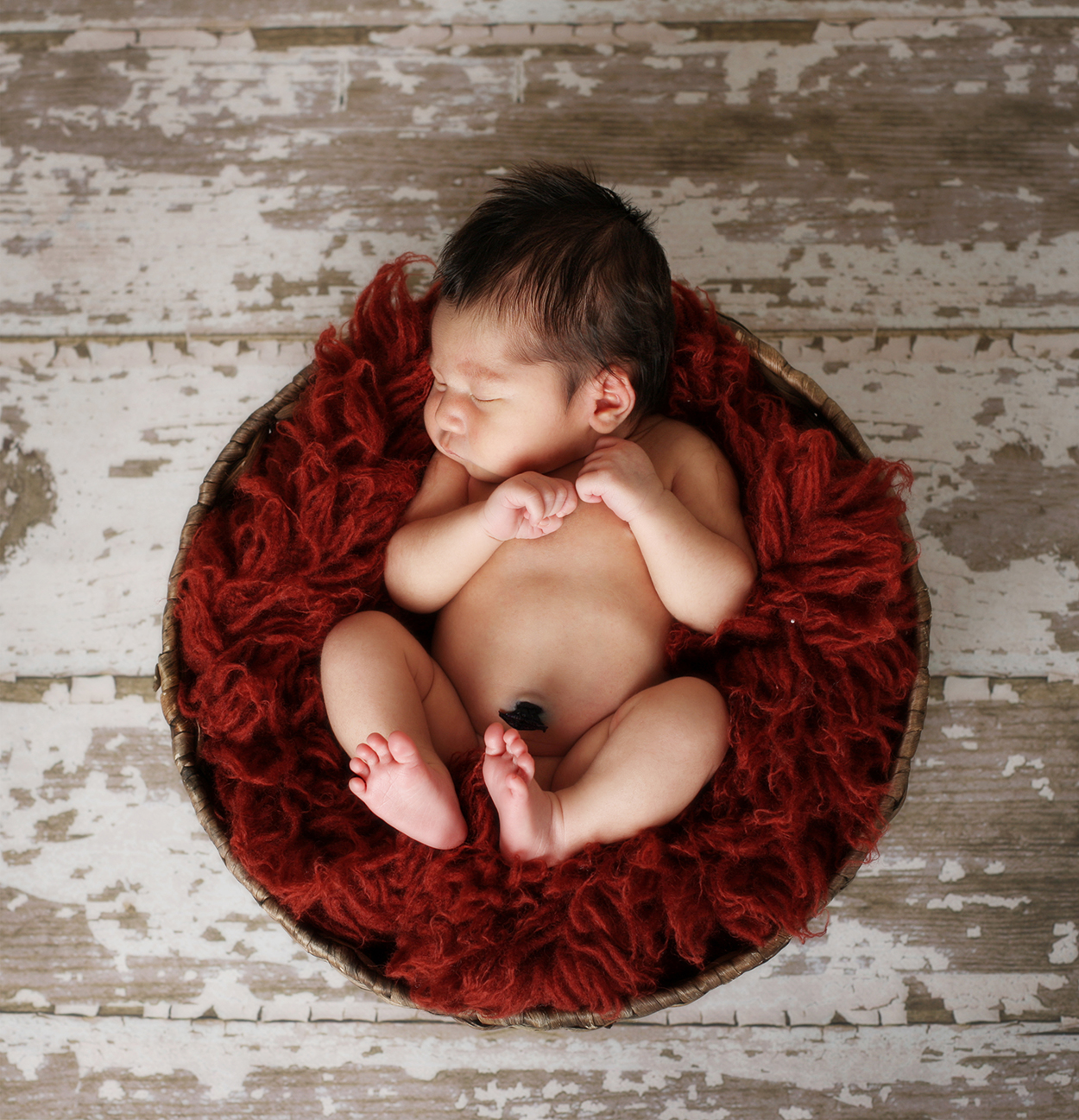 Raleigh newborn photography