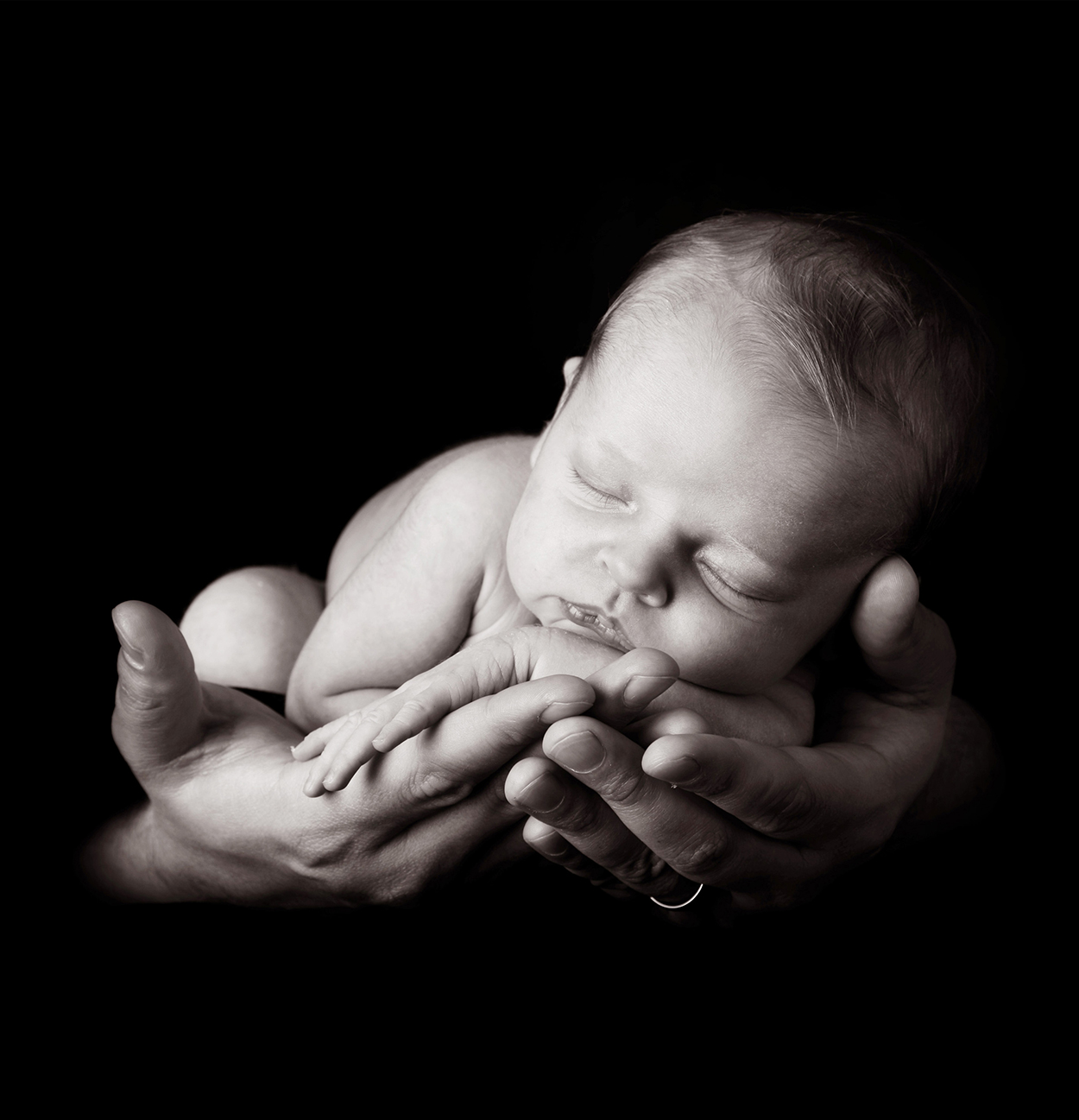 Raleigh newborn photography