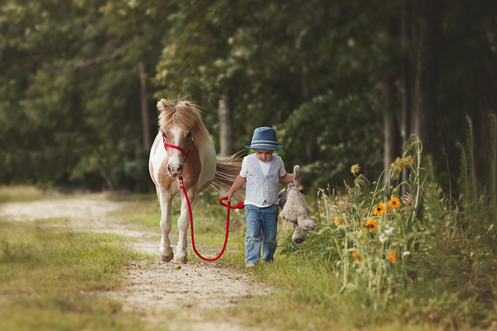 Raleigh child photography with animals