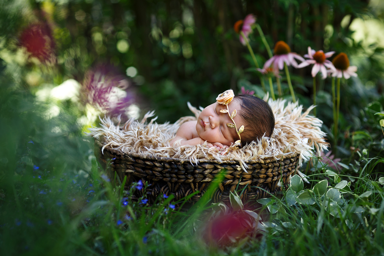newborn fairy gardens