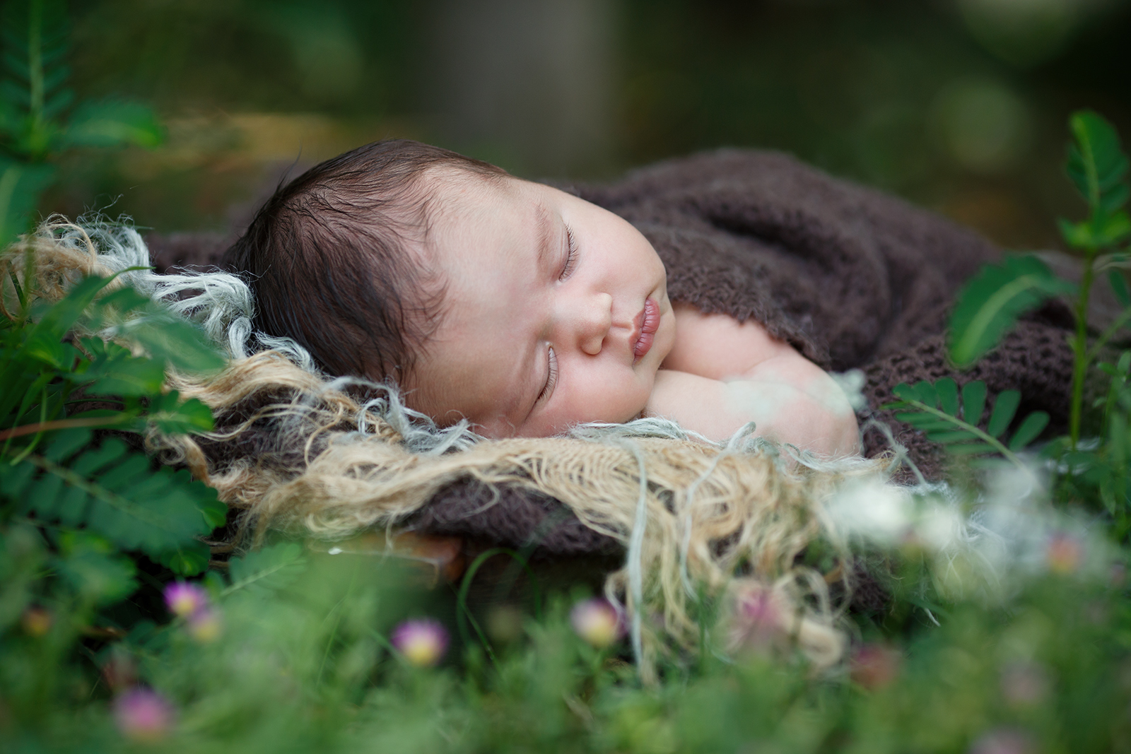 newborn photographer in Raleigh outdoor photos