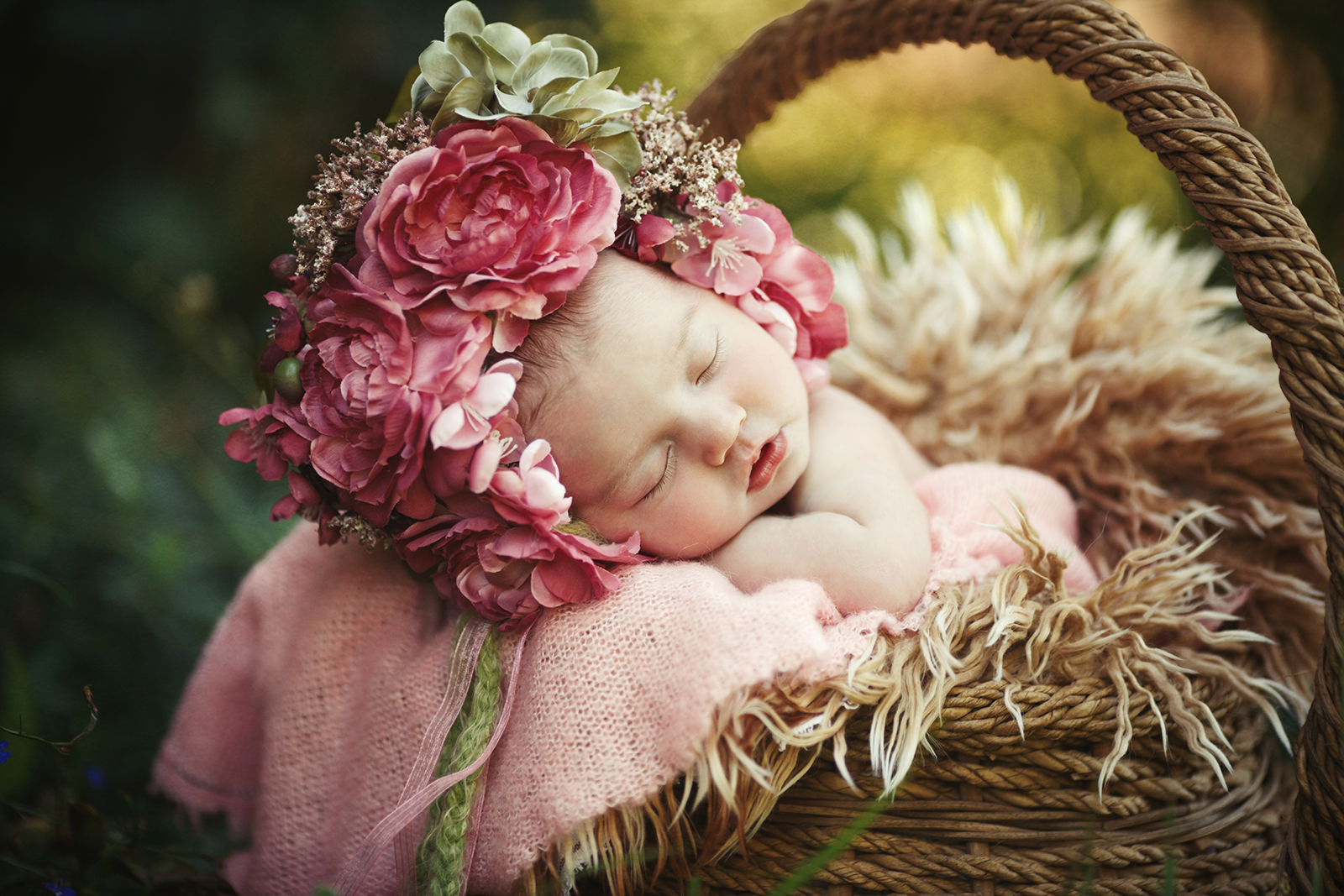 Raleigh newborn photographer fairy gardens