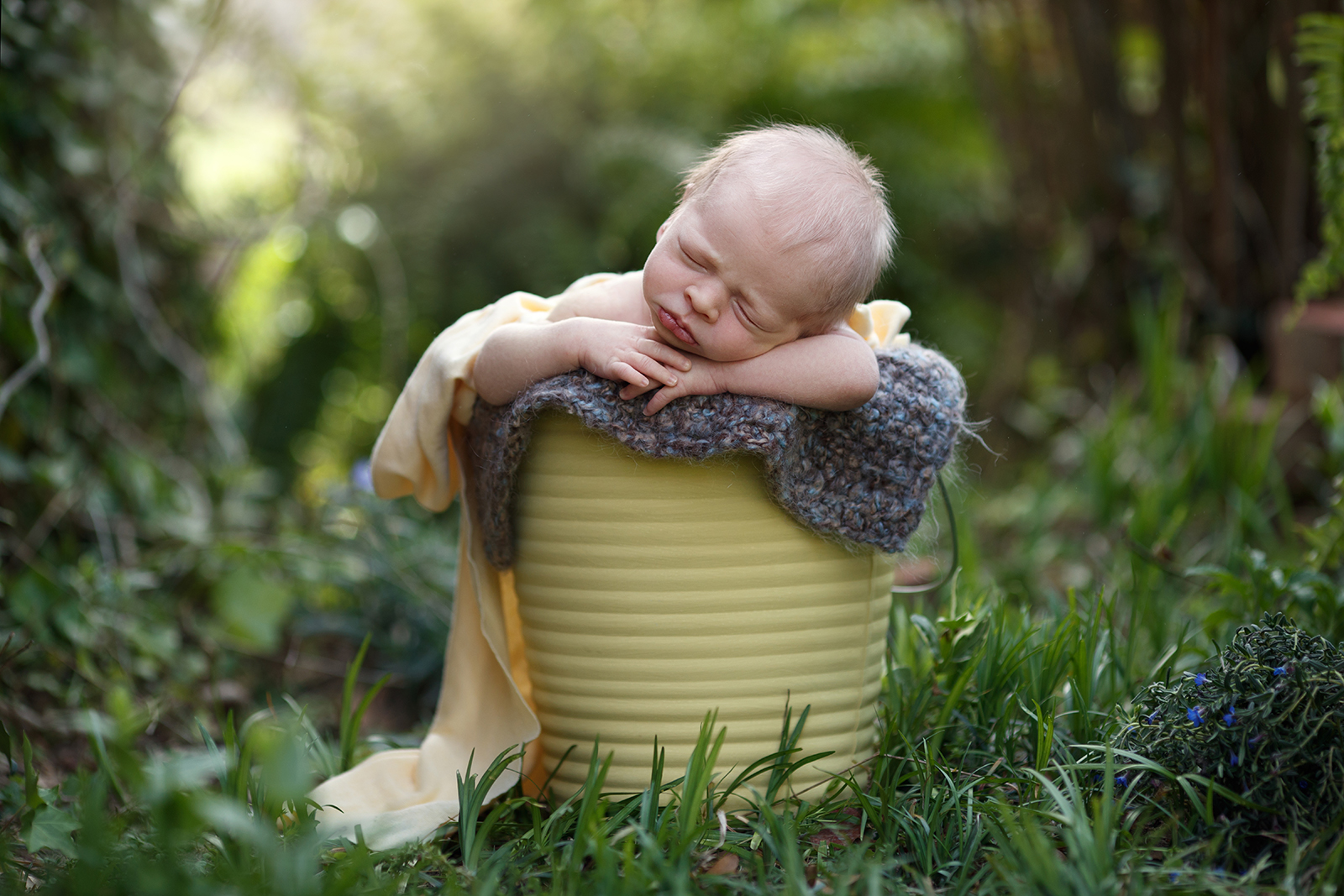 outdoor newborn portraits offered in the triangle area by Michelle Studios Raleigh photographer