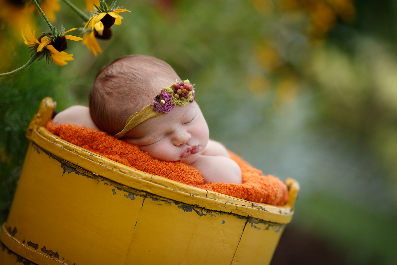newborn portrait baby in yellow bucket with yellow flowers  bokeh
