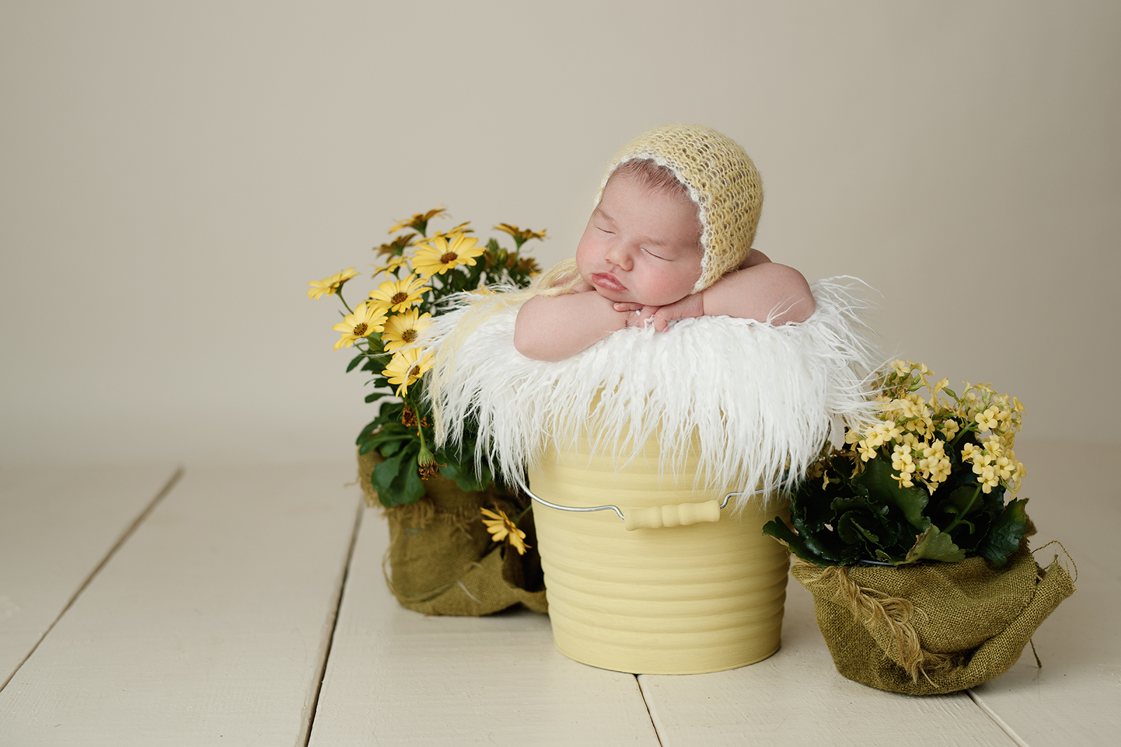 Raleigh newborn photos