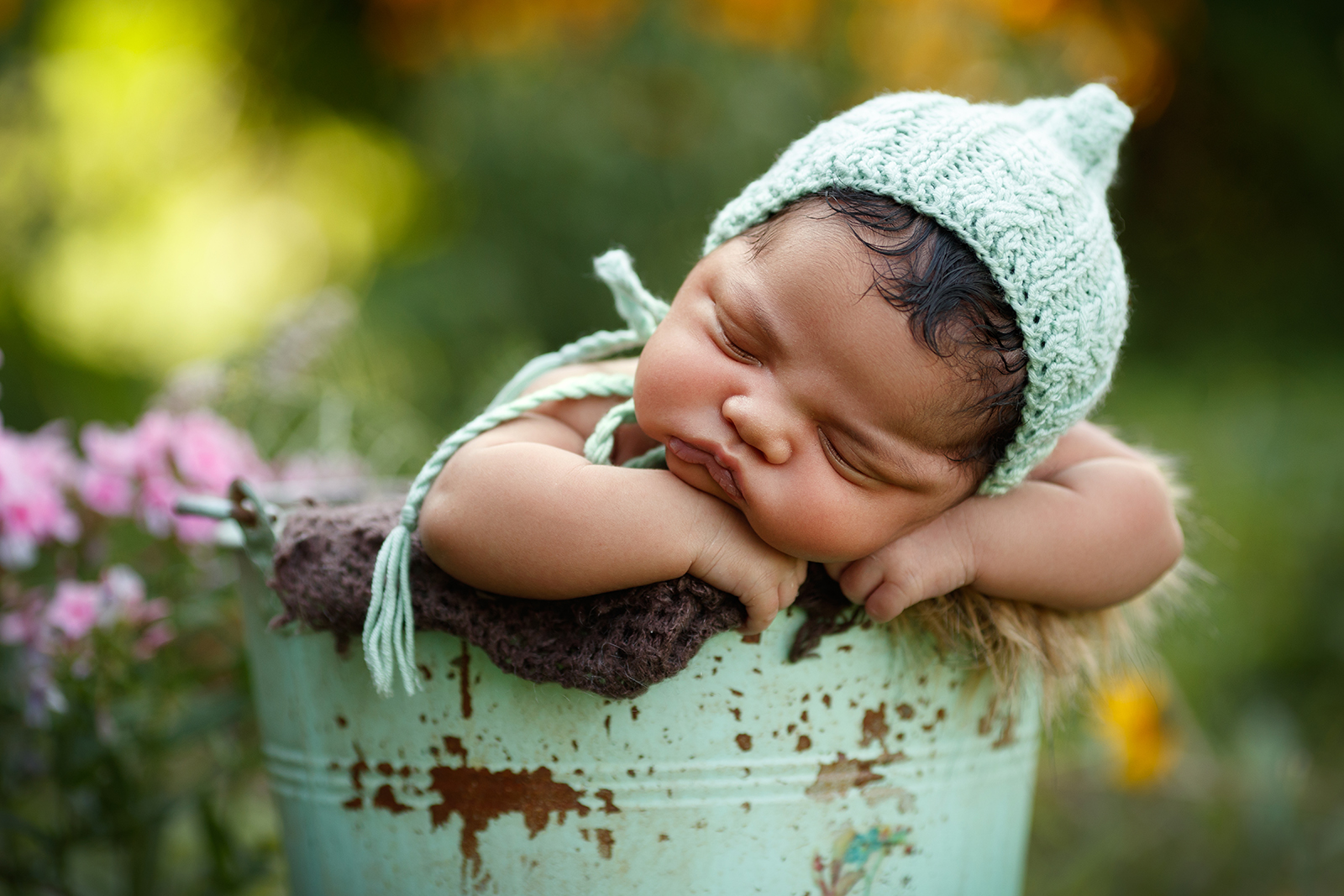 fairy garden image of gorgeous African American newborn girl