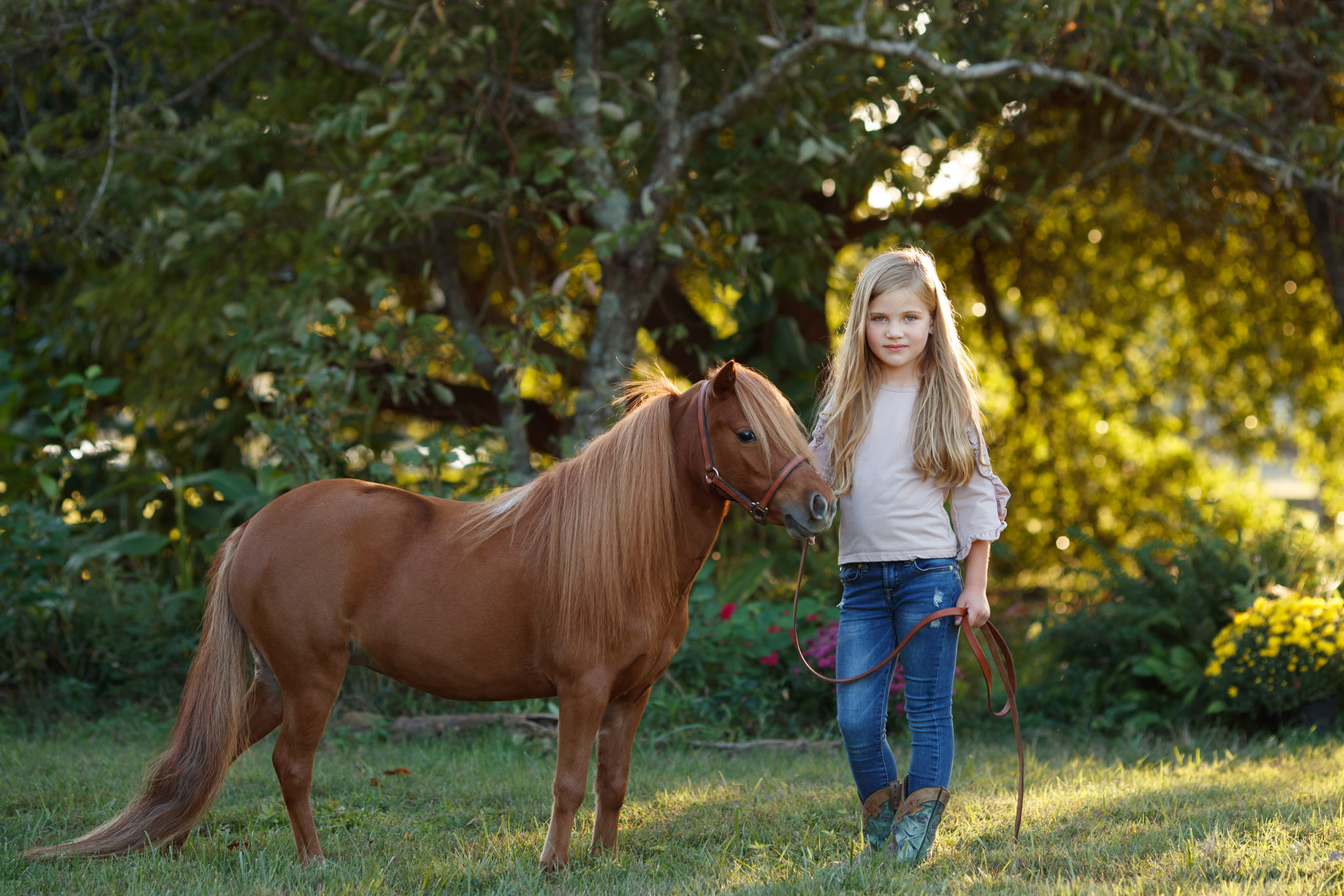 equine photography in Raleigh